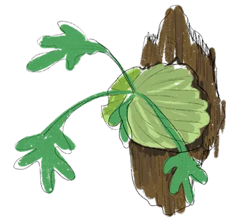 緑